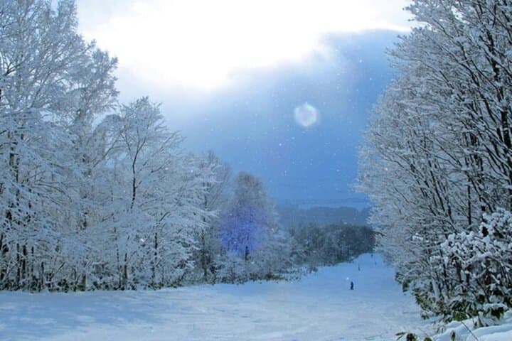 One-Day Pippu Ski Adventure from Asahikawa — Hokkaido Powder Day Trip