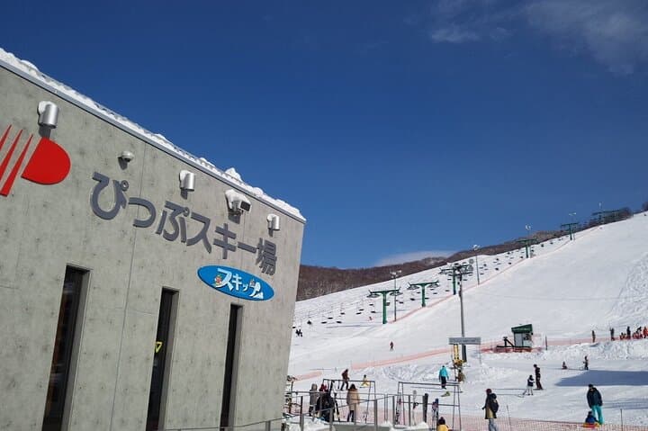 One-Day Pippu Ski Adventure from Asahikawa — Hokkaido Powder Day Trip photo 2