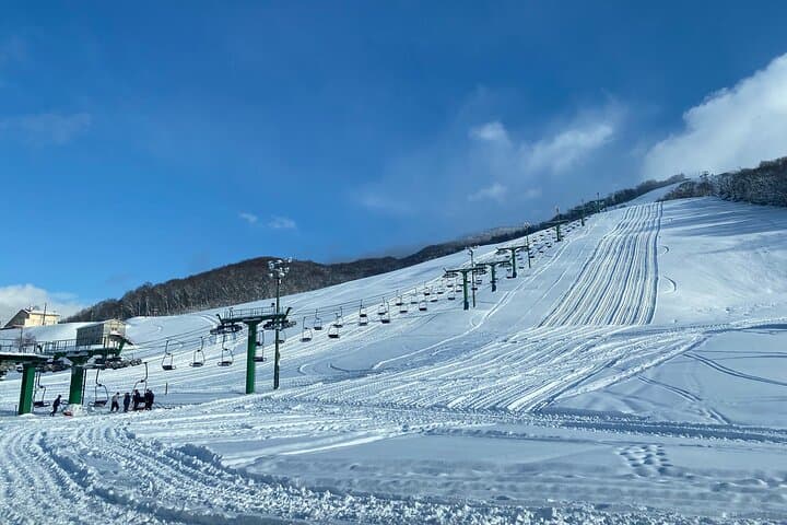 One-Day Pippu Ski Adventure from Asahikawa — Hokkaido Powder Day Trip photo 4