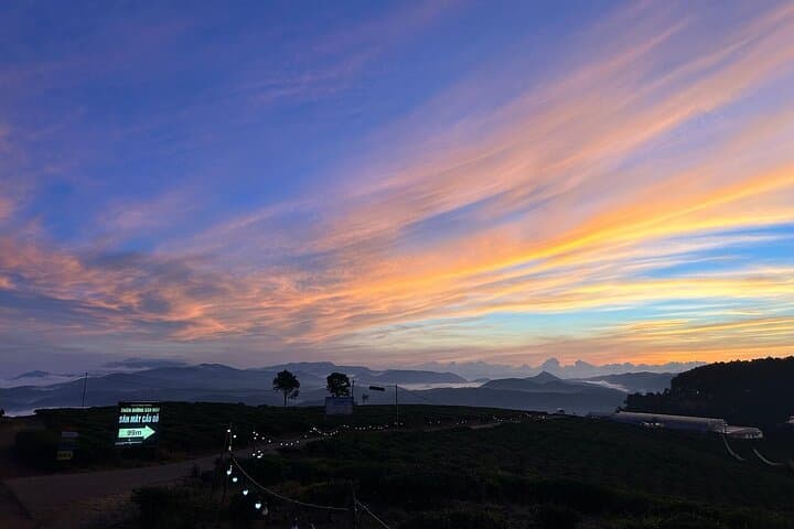 Da Lat Sunrise & Cloud-Chasing Tour: Early-Morning Views, Tea Hills and Coffee photo 5