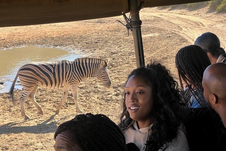 Cape Town Big Five Safari Day Trip with Transport and Lunch