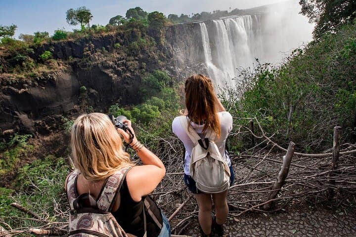 Cape Town Big Five Safari Day Trip with Transport and Lunch photo 4
