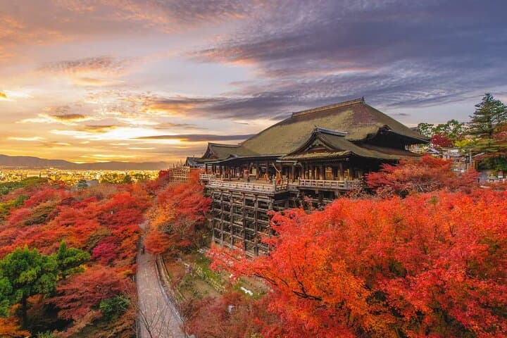 Private One-Day Charter Car Tour: Osaka, Kyoto & Nara Highlights