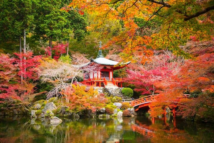 Private One-Day Charter Car Tour: Osaka, Kyoto & Nara Highlights photo 2