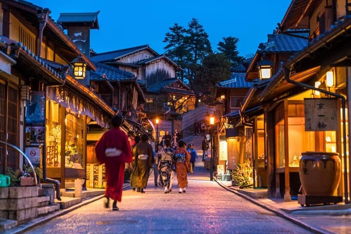 Private One-Day Charter Car Tour: Osaka, Kyoto & Nara Highlights photo 5