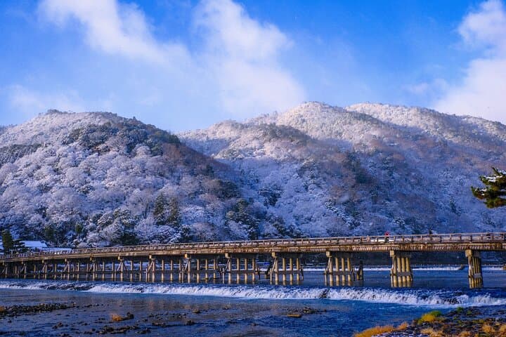 Private One-Day Charter Car Tour: Osaka, Kyoto & Nara Highlights photo 6
