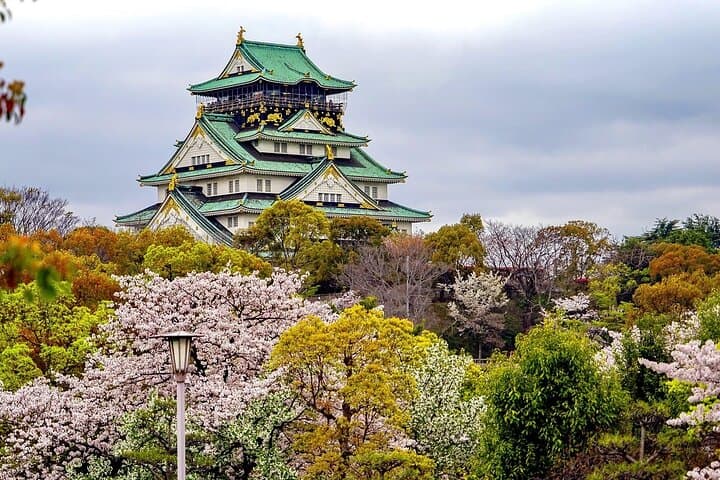 Private One-Day Charter Car Tour: Osaka, Kyoto & Nara Highlights photo 3