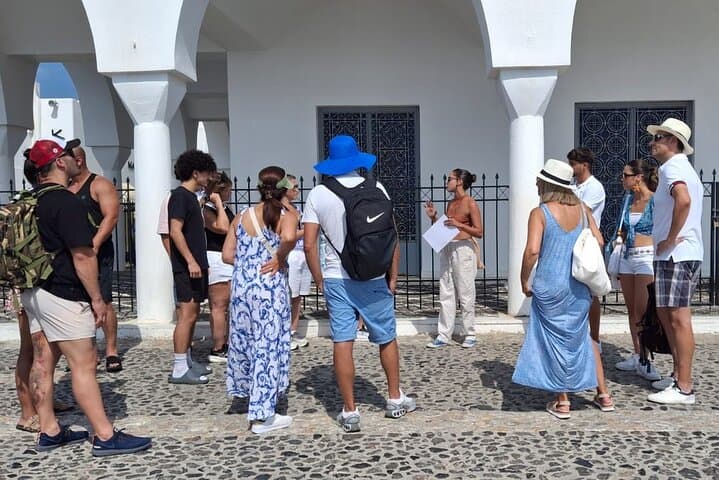 Caldera Views & Blue Domes: Small-Group Santorini Tour for Cruise Visitors photo 3