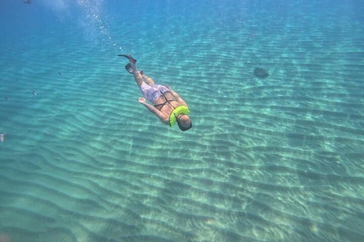 Sosua Snorkeling Adventure: Guided Reef Tour with Gear Included photo 4