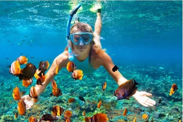 Sosua Snorkeling Adventure: Guided Reef Tour with Gear Included