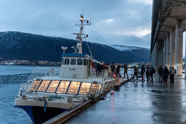 Tromsø Winter Whale Watching Cruise aboard MS Alba photo 3