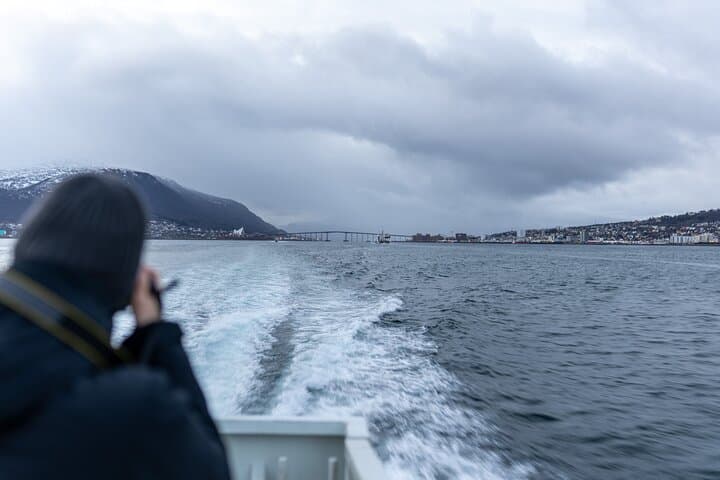 Tromsø Winter Whale Watching Cruise aboard MS Alba photo 4