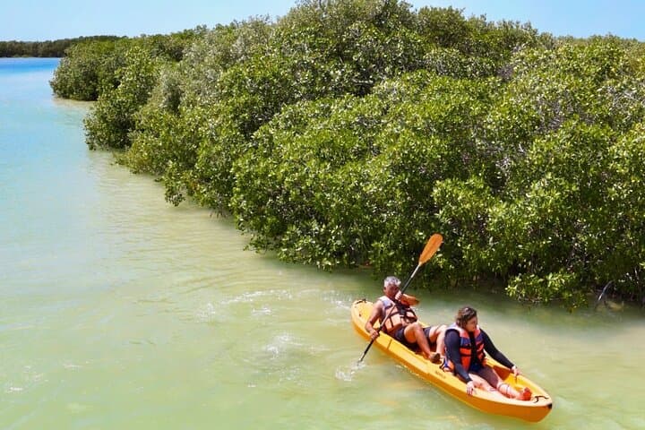 Isla Columpios and Progreso Day Trip: Swim the Swings & Walk Progreso Pier photo 2