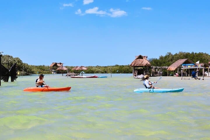 Isla Columpios and Progreso Day Trip: Swim the Swings & Walk Progreso Pier photo 5