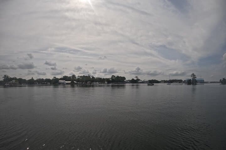 Crystal River Kings Bay Eco Sunset Cruise — Manatee & Dolphin Wildlife Tour photo 1