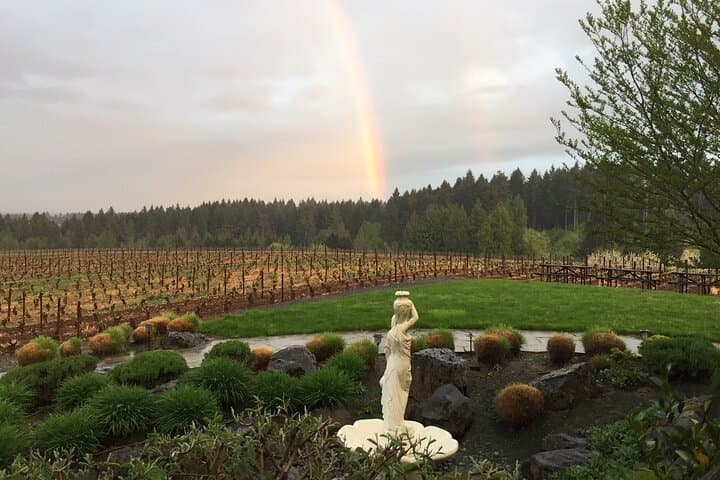 Private Walking Wine Tour at Ardiri Winery — Tasting & Barrel-Room Experience