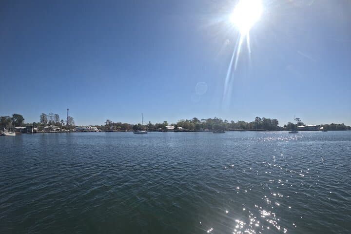 Crystal River Kings Bay Eco Sunset Cruise — Manatee & Dolphin Wildlife Tour photo 4