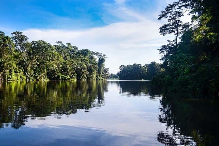 Silent Electric Canoe Wildlife Tour in Tortuguero National Park photo 5