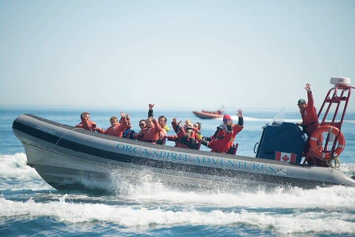 Victoria Zodiac Whale Watching Tour — Juan de Fuca & Haro Strait Wildlife Safari photo 2