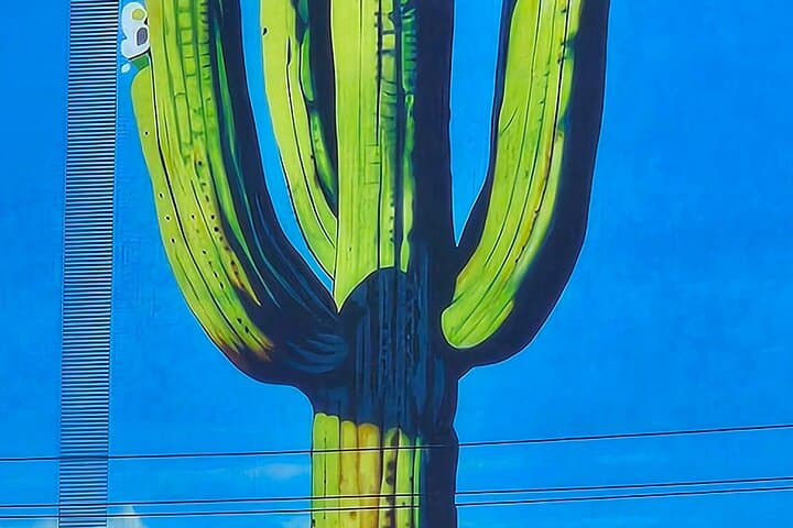 Walking Historical Tucson Tour — 1‑Hour Downtown Tucson Storytelling Walk photo 4