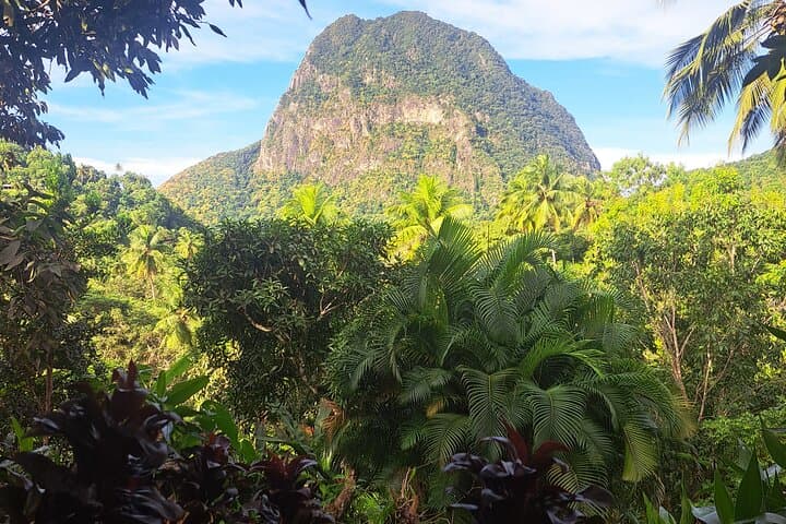 Esperance Estate Creole Farm-to-Table Tour with Gros Piton Views photo 2