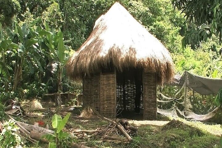 Esperance Estate Creole Farm-to-Table Tour with Gros Piton Views photo 5