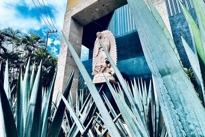 Private Tequila Tour: Agave Fields, Distillery Tasting & Cantaritos Celebration photo 3