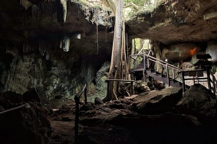 Merida Cenotes & Hacienda Kampepén Day Tour with Lunch photo 5