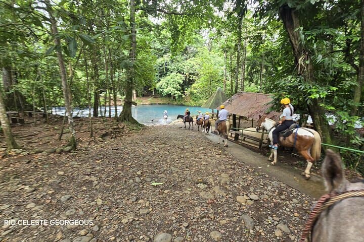 Rio Celeste & Tenorio Volcano: Hike the Blue River in Costa Rica photo 5