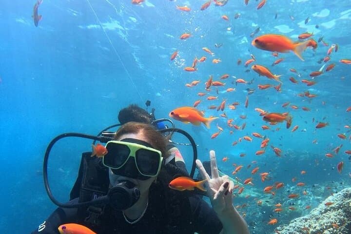 Full-Day Beginner Scuba Diving in Hurghada: Two Reef Dives, Lunch & Hotel Pickup