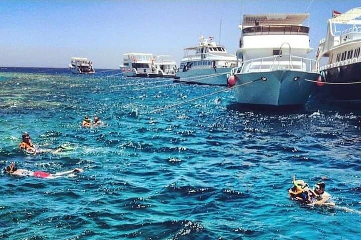 Full-Day Beginner Scuba Diving in Hurghada: Two Reef Dives, Lunch & Hotel Pickup photo 6