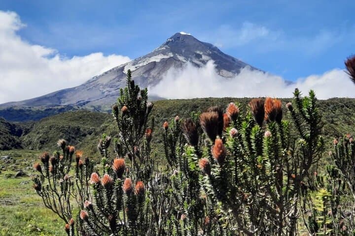 Full-Day Cotopaxi Volcano: José Rivas Refuge & Limpiopungo Lagoon photo 2