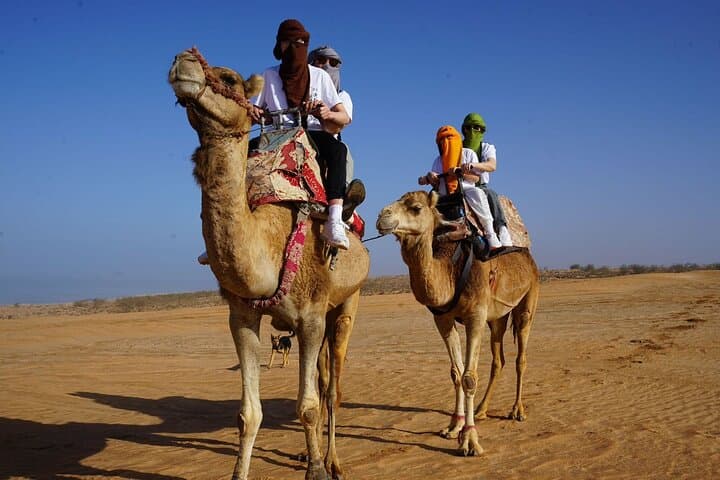 Mini Sahara Day Trip from Agadir: Small Desert, Berber Lunch & Massa Oasis