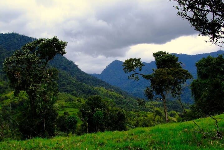 Full-Day Mindo Cloud Forest Tour: Birdwatching, Butterfly Garden & Local Lunch photo 5