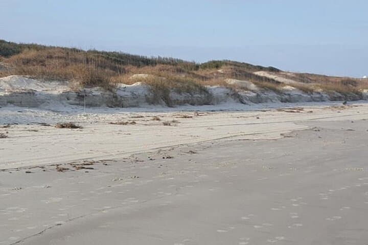 St. Simons Beach Treasure Hunt & Wire‑Wrap Jewelry Workshop on the Golden Isles photo 5