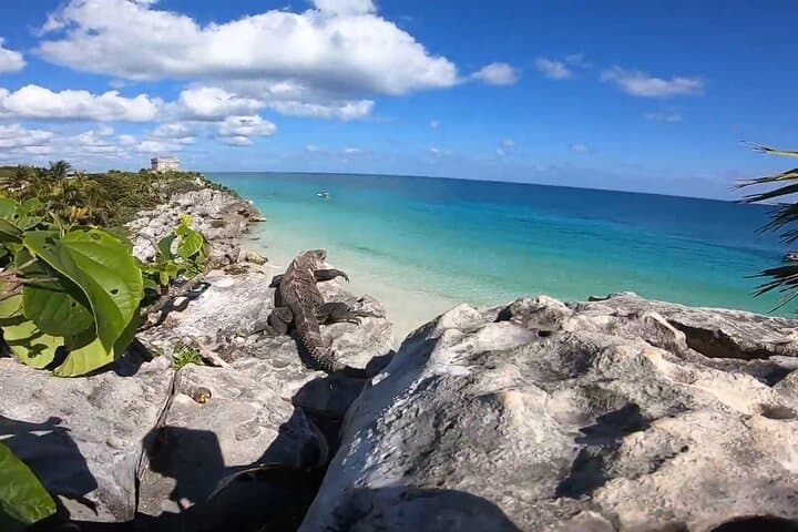Private Guided Tour of Tulum Ruins — Cliffside History & Practical Tips photo 2