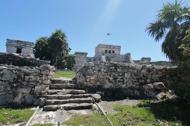 Private Guided Tour of Tulum Ruins — Cliffside History & Practical Tips photo 6