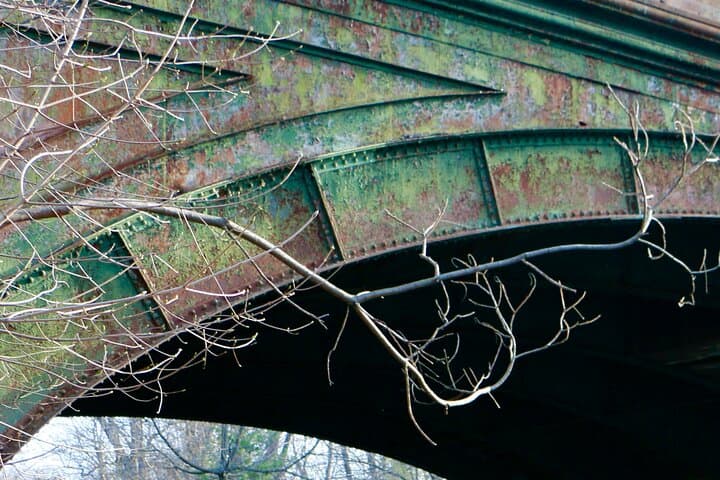 Central Park Selfie Photo Tour — 2‑Hour Guided Mobile Photography Walk photo 6