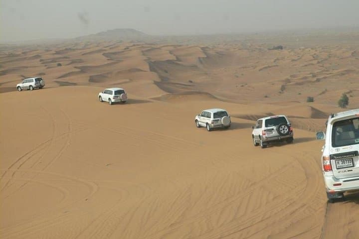 Doha City and Sealine Desert Safari: Dunes, Falcons & Camel Rides photo 2