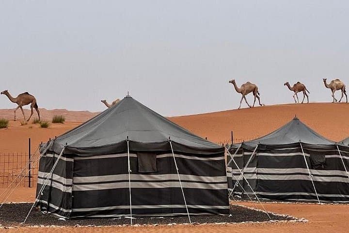 Doha City and Sealine Desert Safari: Dunes, Falcons & Camel Rides photo 4