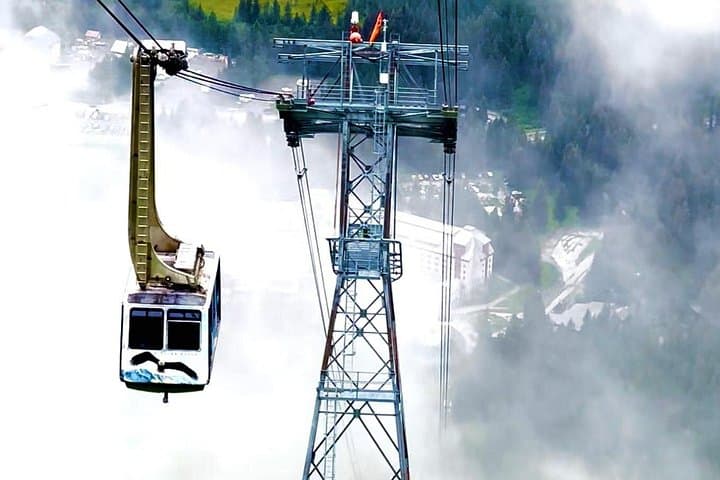 Whittier to Anchorage Scenic Transfer: Alaska Wildlife Center & Alyeska Tram photo 4