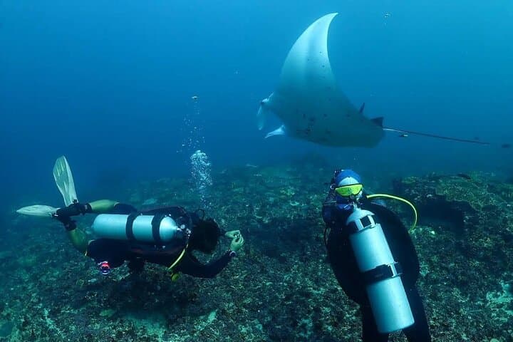 Nusa Penida Snorkeling — Manta Point & Island Day Trip photo 3