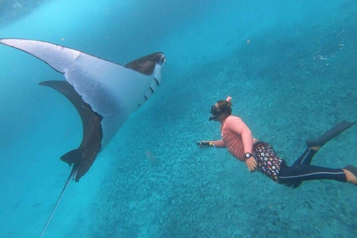 Nusa Penida Snorkeling — Manta Point & Island Day Trip