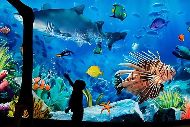 Explore SEA LIFE Bangkok Ocean World: Tickets, Tips & What to Expect photo 4