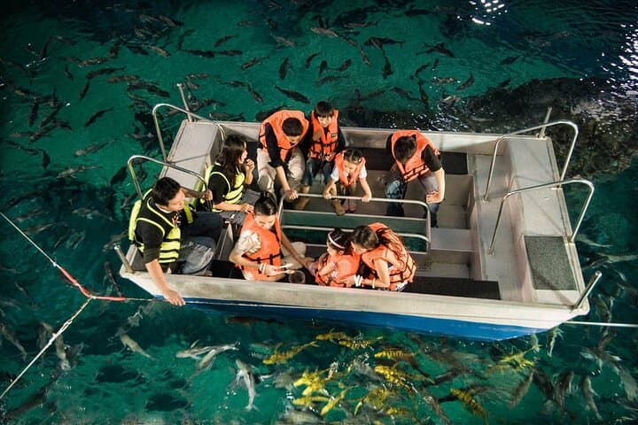 Explore SEA LIFE Bangkok Ocean World: Tickets, Tips & What to Expect photo 6