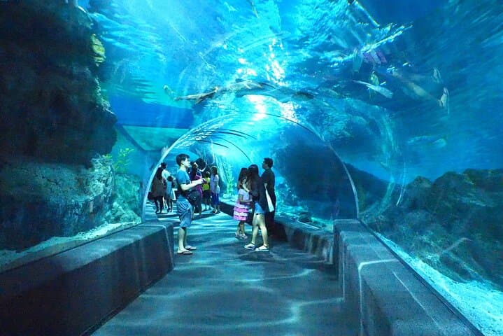Explore SEA LIFE Bangkok Ocean World: Tickets, Tips & What to Expect photo 3