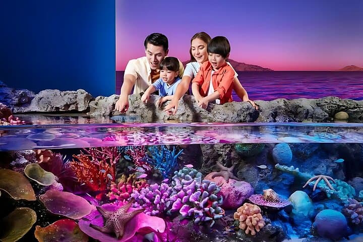 Explore SEA LIFE Bangkok Ocean World: Tickets, Tips & What to Expect photo 2