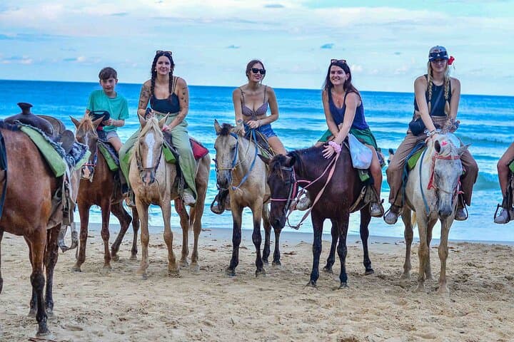 Discover Serenity with a Punta Cana Beach Horseback Adventure