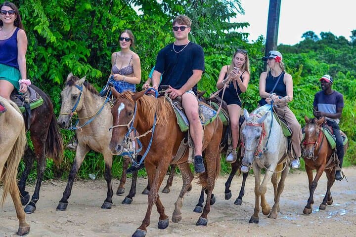 Discover Serenity with a Punta Cana Beach Horseback Adventure photo 5
