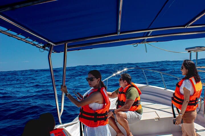 Cabo San Lucas Arch Private Boat Tour — Glass‑Bottom Views & Sea‑Lion Encounters photo 1